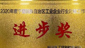 公司榮獲2020年度自治區(qū)工業(yè)企業(yè)對標工作“進步獎”