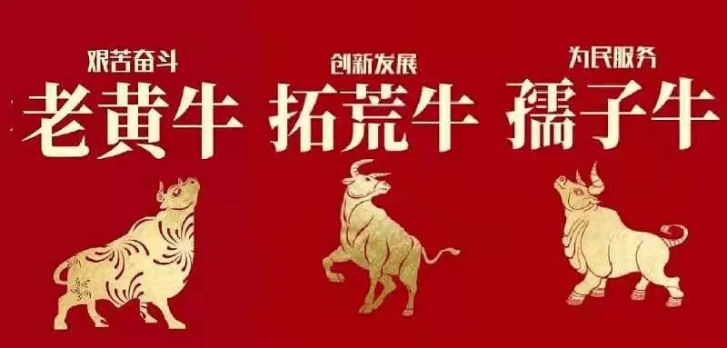 1614329544134489.jpg 5.webp.jpg