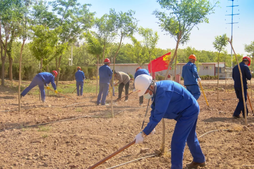 1621133089891915.jpg 1621133089891915.jpg