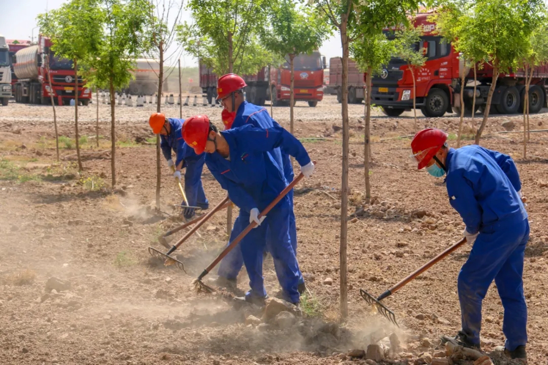 1621133127140495.jpg 1621133127140495.jpg