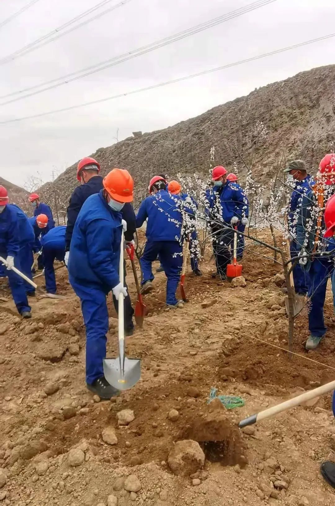 1648707605173429.jpg 微信圖片_20220331141928.jpg