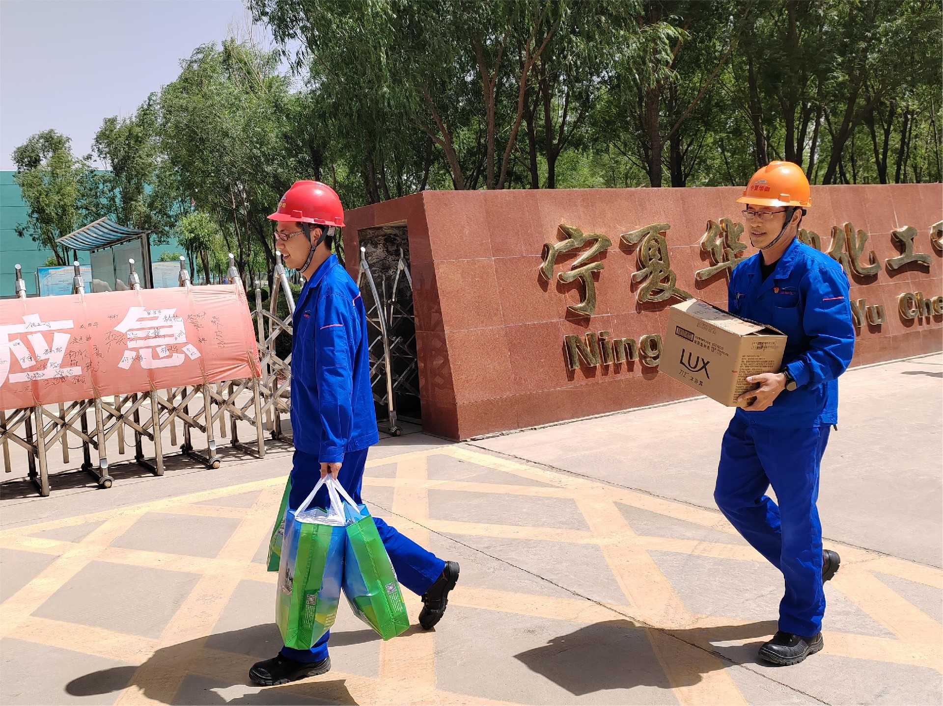 1688634904392573.jpg IMG_20230704_111541.jpg