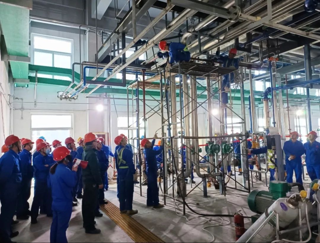 1710463522960971.jpg 830c571e50f3ac71e45310c2ca3a842b.jpg