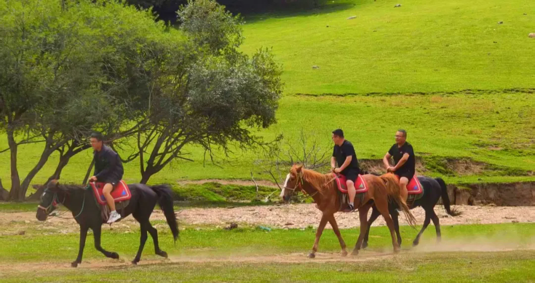 1758507941178984.png 2..webp.png